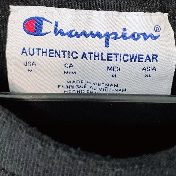 (MENS) CHAMPION | Striped Crew Neck Sweater - Picture 3 of 4